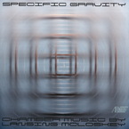 Cover for Lansing McLoskey: Specific Gravity